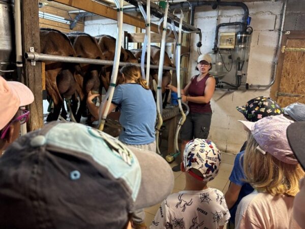 Les enfants à la ferme